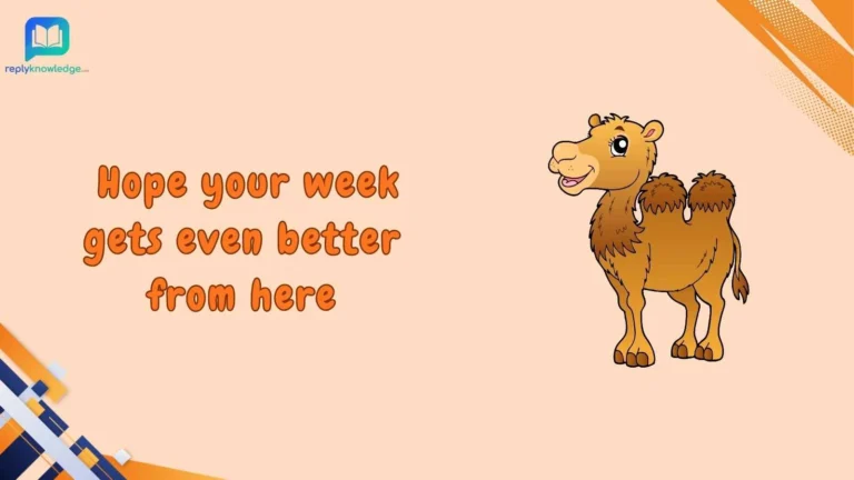 hump day responses